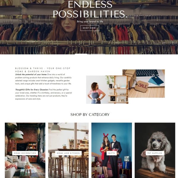 Theventurehubs (Shopify Store)